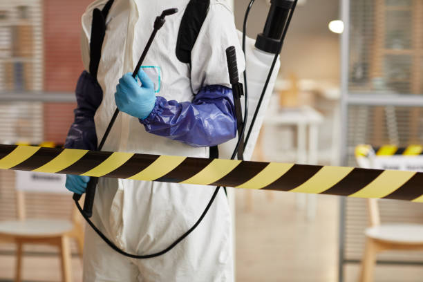 Professional Sewage Cleanup technician working in Aurora, UT